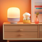 Green Lion RAIN CLOUD Diffuser- Wood - Image 2